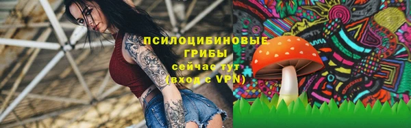 таблы Белоозёрский