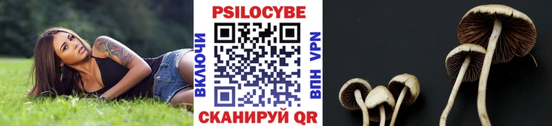 Псилоцибиновые грибы ЛСД  Балашов 